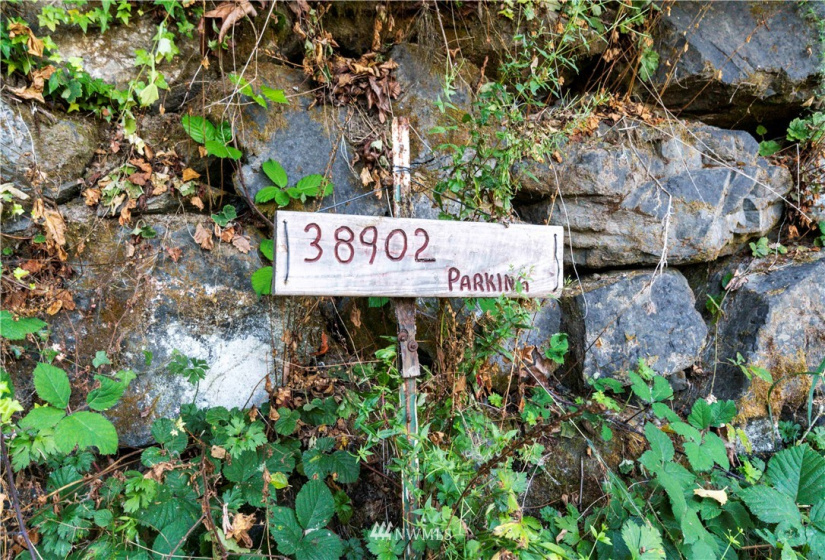 38902 Ski Park, Eatonville, Washington 98328, ,Land,For Sale,Ski Park,NWM1832057