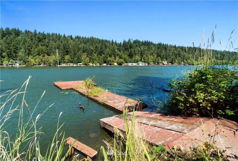 38902 Ski Park, Eatonville, Washington 98328, ,Land,For Sale,Ski Park,NWM1832057
