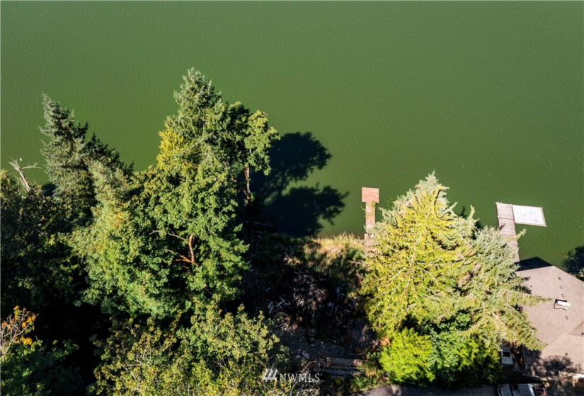 38902 Ski Park, Eatonville, Washington 98328, ,Land,For Sale,Ski Park,NWM1832057