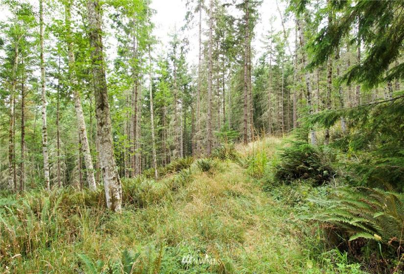 192 Eagle Bear, Port Townsend, Washington 98368, ,Land,For Sale,Eagle Bear,NWM1834513