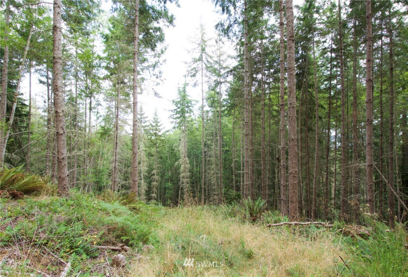 192 Eagle Bear, Port Townsend, Washington 98368, ,Land,For Sale,Eagle Bear,NWM1834513