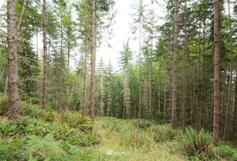 192 Eagle Bear, Port Townsend, Washington 98368, ,Land,For Sale,Eagle Bear,NWM1834513