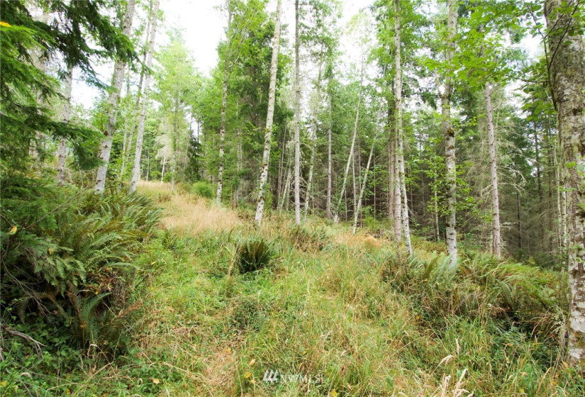 192 Eagle Bear, Port Townsend, Washington 98368, ,Land,For Sale,Eagle Bear,NWM1834513