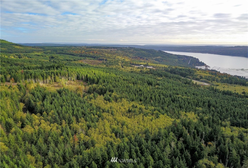 192 Eagle Bear, Port Townsend, Washington 98368, ,Land,For Sale,Eagle Bear,NWM1834513