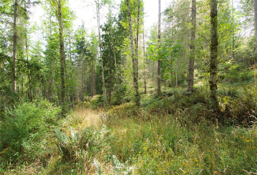 192 Eagle Bear, Port Townsend, Washington 98368, ,Land,For Sale,Eagle Bear,NWM1834513