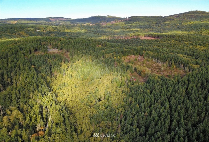 192 Eagle Bear, Port Townsend, Washington 98368, ,Land,For Sale,Eagle Bear,NWM1834513