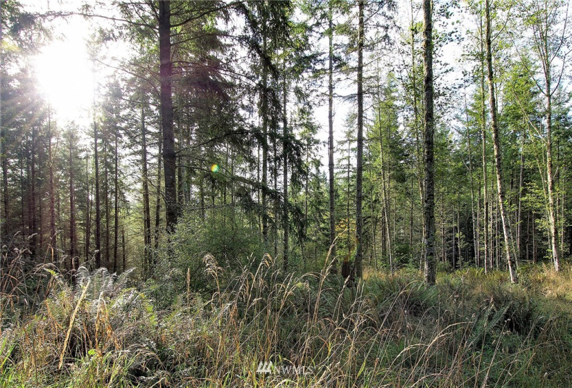 192 Eagle Bear, Port Townsend, Washington 98368, ,Land,For Sale,Eagle Bear,NWM1834513