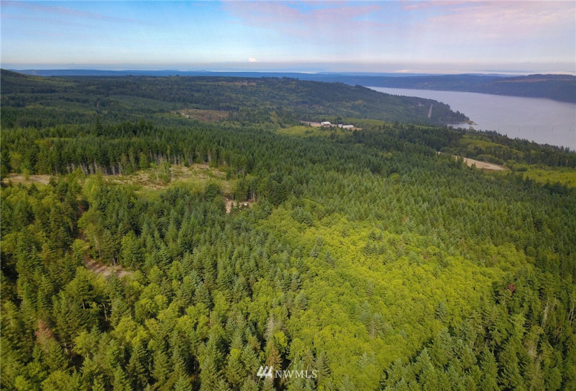 192 Eagle Bear, Port Townsend, Washington 98368, ,Land,For Sale,Eagle Bear,NWM1834513