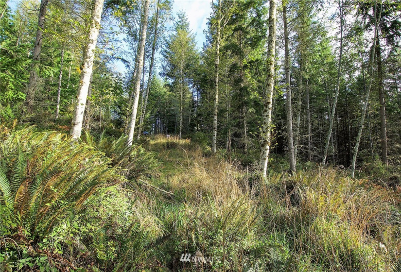 192 Eagle Bear, Port Townsend, Washington 98368, ,Land,For Sale,Eagle Bear,NWM1834513
