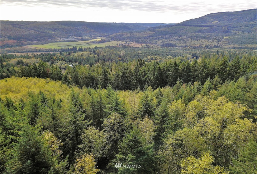 192 Eagle Bear, Port Townsend, Washington 98368, ,Land,For Sale,Eagle Bear,NWM1834513