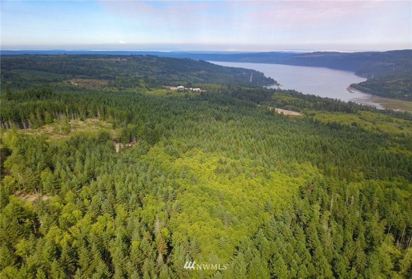 192 Eagle Bear, Port Townsend, Washington 98368, ,Land,For Sale,Eagle Bear,NWM1834513