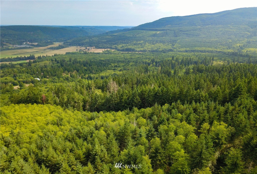 192 Eagle Bear, Port Townsend, Washington 98368, ,Land,For Sale,Eagle Bear,NWM1834513