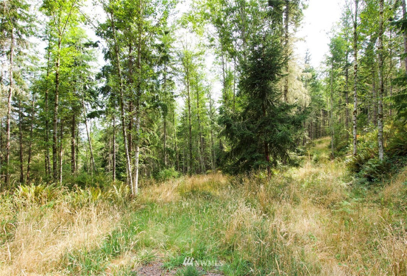 192 Eagle Bear, Port Townsend, Washington 98368, ,Land,For Sale,Eagle Bear,NWM1834513