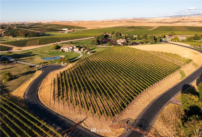 96 Winemakers Lane, Walla Walla, Washington 99362, 5 Bedrooms Bedrooms, ,3 BathroomsBathrooms,Residential,For Sale,Bella Terra,Winemakers Lane,NWM1833889