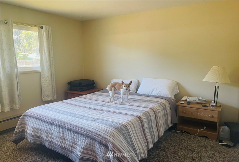205 18th, Seaview, Washington 98631, 3 Bedrooms Bedrooms, ,1 BathroomBathrooms,Residential,For Sale,18th,NWM1834747