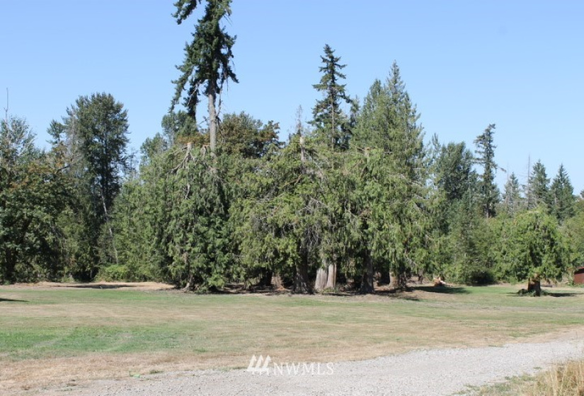21918 128th, Graham, Washington 98338, ,Land,For Sale,128th,NWM1834310