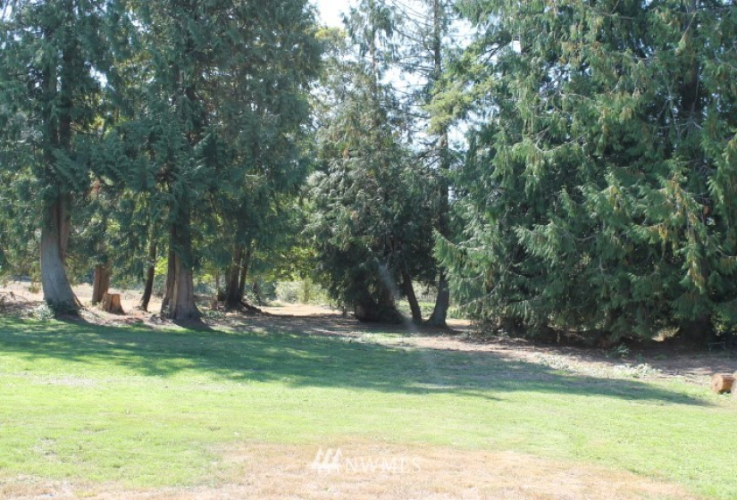 21918 128th, Graham, Washington 98338, ,Land,For Sale,128th,NWM1834310