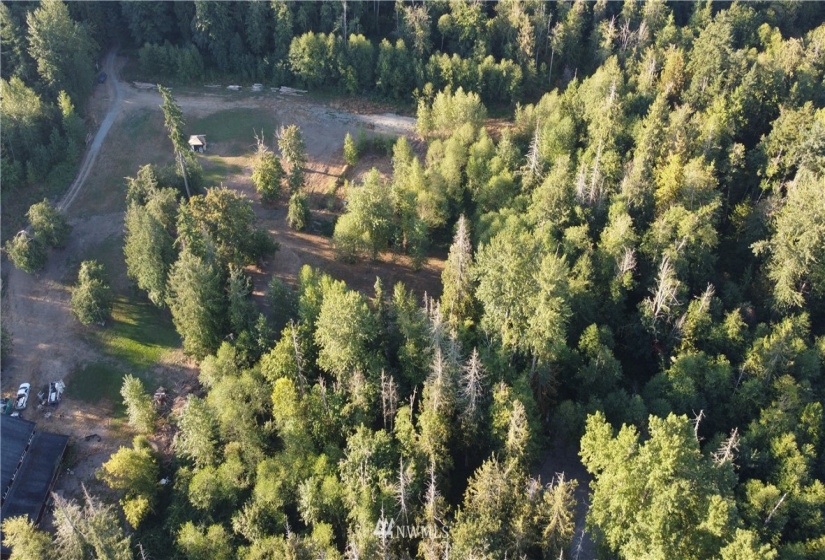 21918 128th, Graham, Washington 98338, ,Land,For Sale,128th,NWM1834310