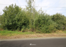 0 Thomas, Aberdeen, Washington 98520, ,Land,For Sale,Thomas,NWM1834787