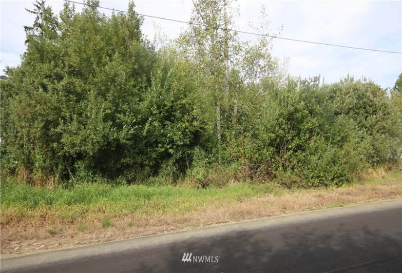 0 Thomas, Aberdeen, Washington 98520, ,Land,For Sale,Thomas,NWM1834787