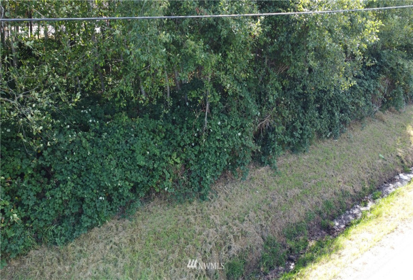 0 Evans, Aberdeen, Washington 98520, ,Land,For Sale,Evans,NWM1834803