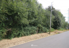 0 Evans, Aberdeen, Washington 98520, ,Land,For Sale,Evans,NWM1834803