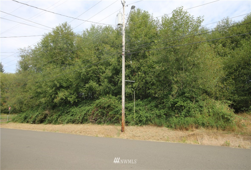 0 Evans, Aberdeen, Washington 98520, ,Land,For Sale,Evans,NWM1834803