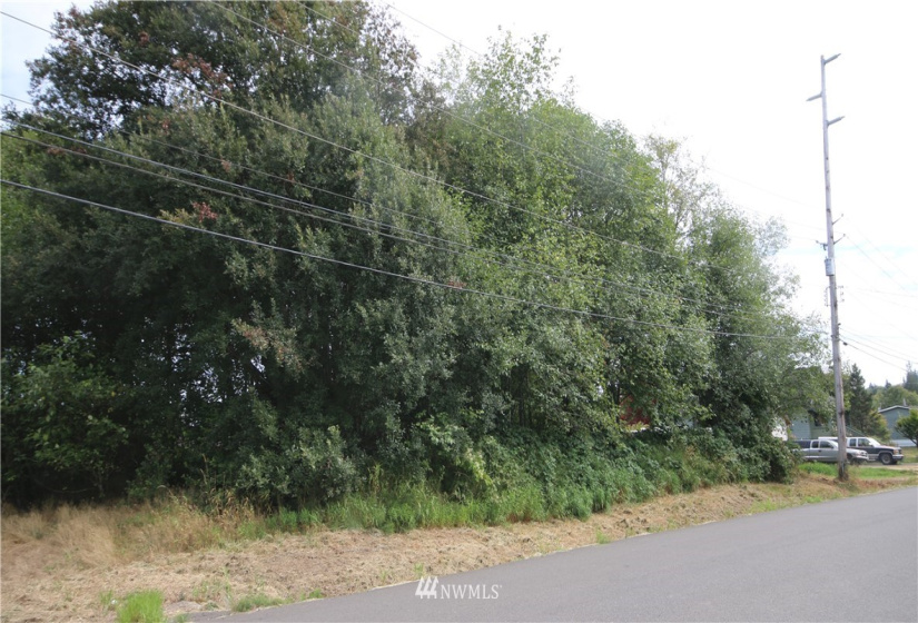 0 Evans, Aberdeen, Washington 98520, ,Land,For Sale,Evans,NWM1834803