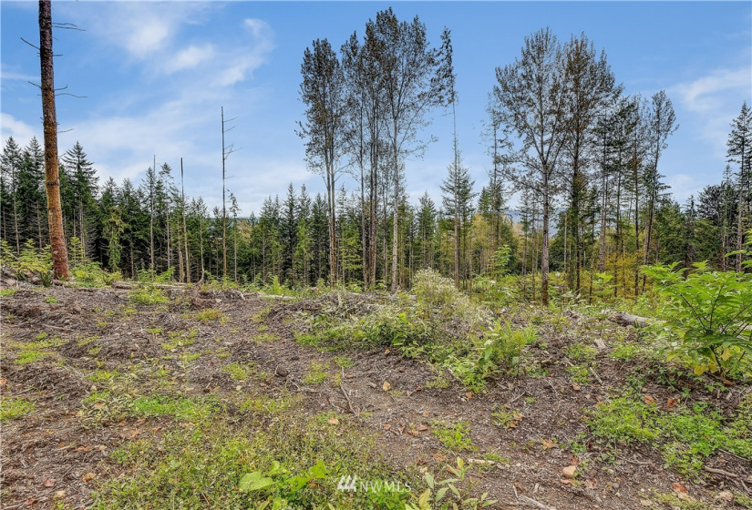 0 XXX 39th, Fall City, Washington 98024, ,Land,For Sale,39th,NWM1522625
