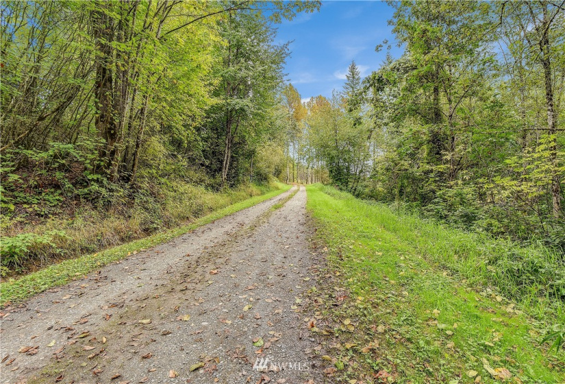 0 XXX 39th, Fall City, Washington 98024, ,Land,For Sale,39th,NWM1522625