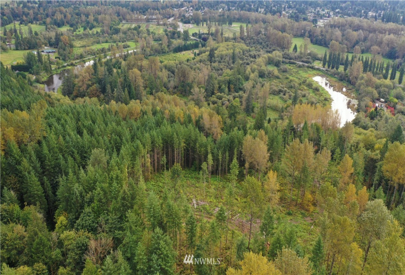 0 XXX 39th, Fall City, Washington 98024, ,Land,For Sale,39th,NWM1522625