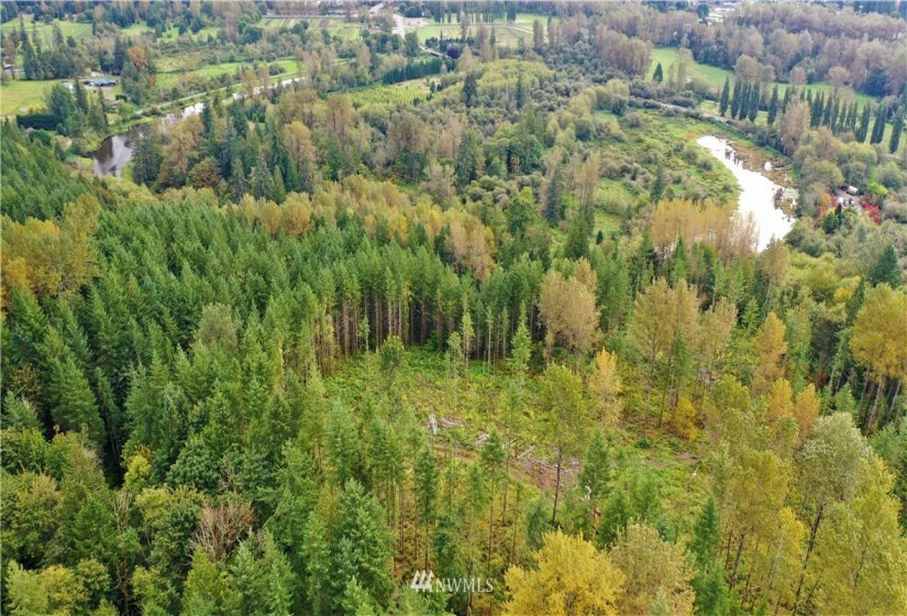 0 XXX 39th, Fall City, Washington 98024, ,Land,For Sale,39th,NWM1522625