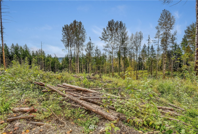 0 XXX 39th, Fall City, Washington 98024, ,Land,For Sale,39th,NWM1522625
