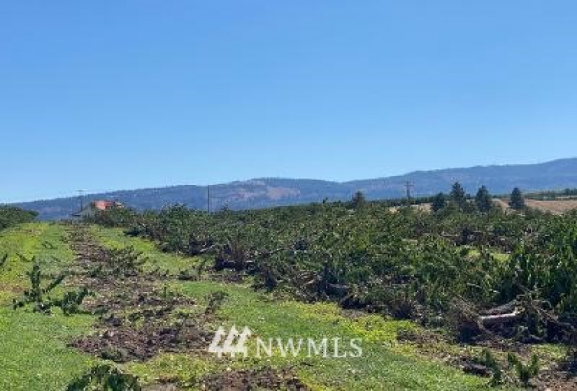 1 Wenatchee Heights, Wenatchee, Washington 98801, ,Land,For Sale,Wenatchee Heights,NWM1834879