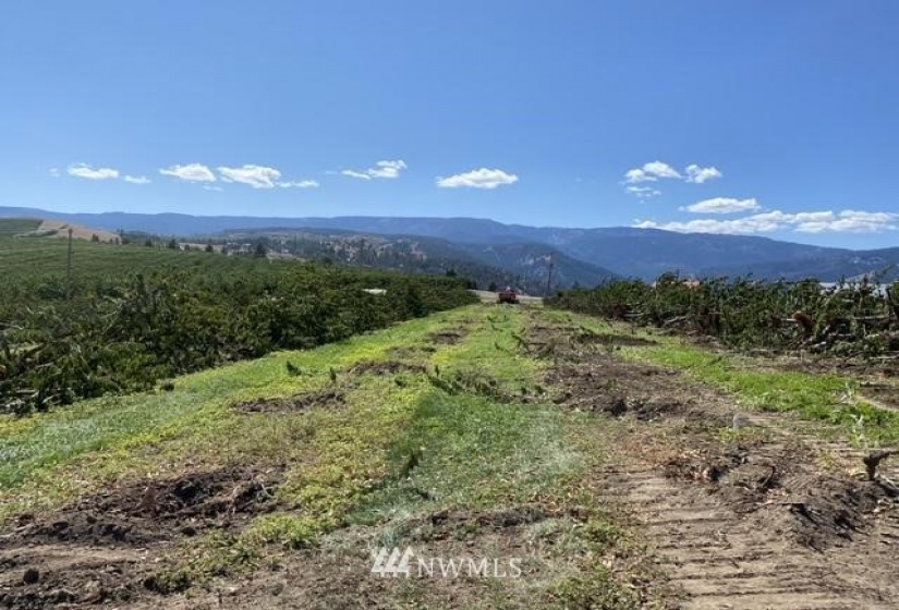 1 Wenatchee Heights, Wenatchee, Washington 98801, ,Land,For Sale,Wenatchee Heights,NWM1834879