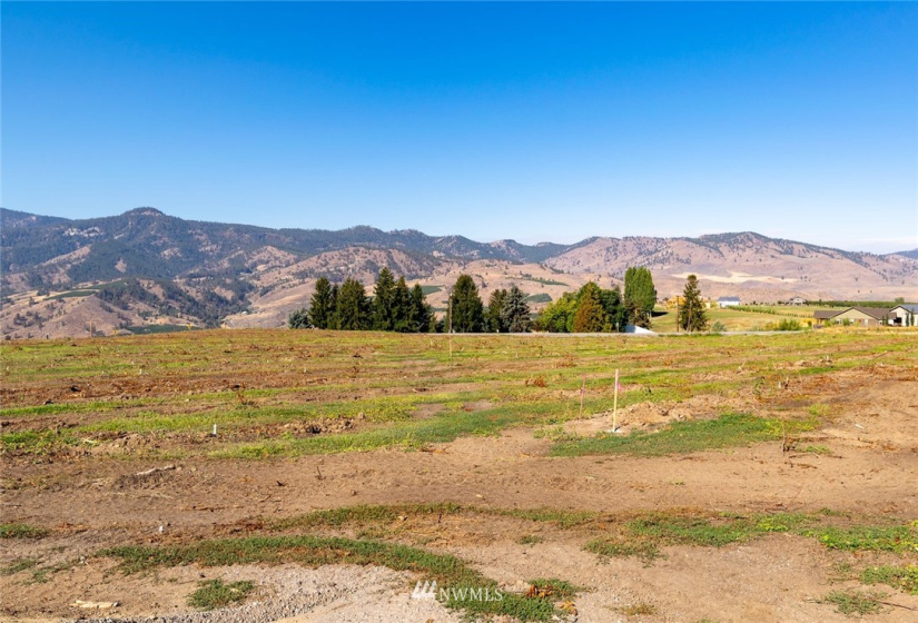 2 Wenatchee Heights, Wenatchee, Washington 98801, ,Land,For Sale,Wenatchee Heights,NWM1834881