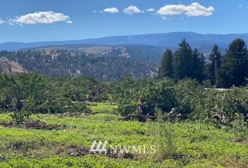 2 Wenatchee Heights, Wenatchee, Washington 98801, ,Land,For Sale,Wenatchee Heights,NWM1834881