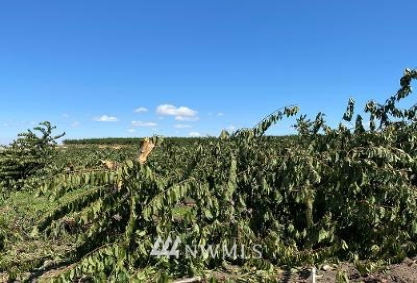1 Jim Smith, Wenatchee, Washington 98801, ,Land,For Sale,Jim Smith,NWM1834884
