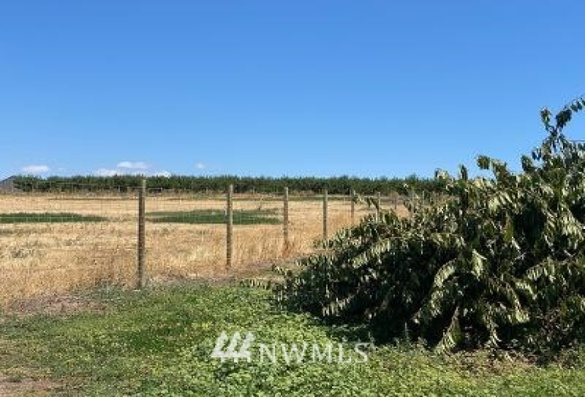 1 Jim Smith, Wenatchee, Washington 98801, ,Land,For Sale,Jim Smith,NWM1834884