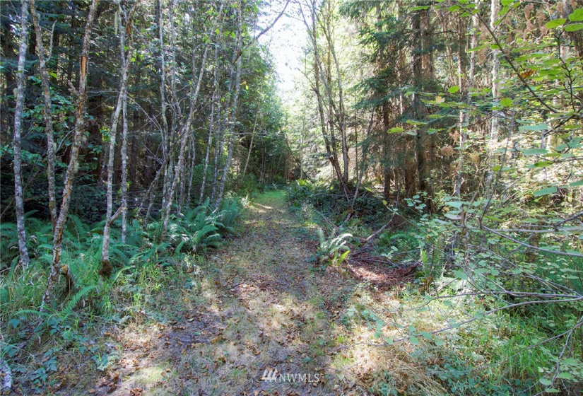 999 Olympic Ridge, Sequim, Washington 98382, ,Land,For Sale,Olympic Ridge,NWM1834933