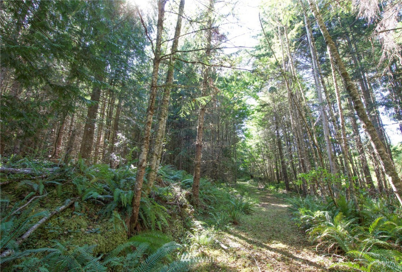 999 Olympic Ridge, Sequim, Washington 98382, ,Land,For Sale,Olympic Ridge,NWM1834933