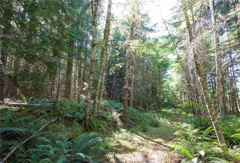 999 Olympic Ridge, Sequim, Washington 98382, ,Land,For Sale,Olympic Ridge,NWM1834933