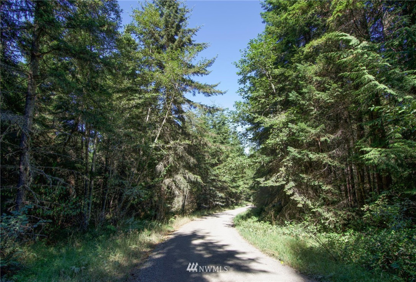999 Olympic Ridge, Sequim, Washington 98382, ,Land,For Sale,Olympic Ridge,NWM1834933