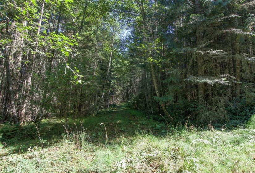 999 Olympic Ridge, Sequim, Washington 98382, ,Land,For Sale,Olympic Ridge,NWM1834933