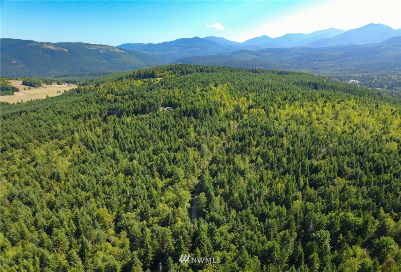999 Olympic Ridge, Sequim, Washington 98382, ,Land,For Sale,Olympic Ridge,NWM1834933