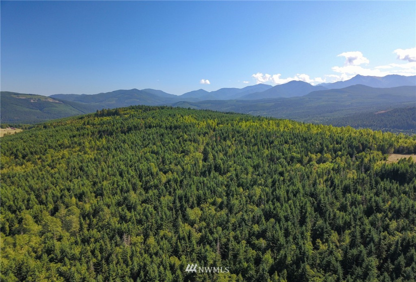 999 Olympic Ridge, Sequim, Washington 98382, ,Land,For Sale,Olympic Ridge,NWM1834933