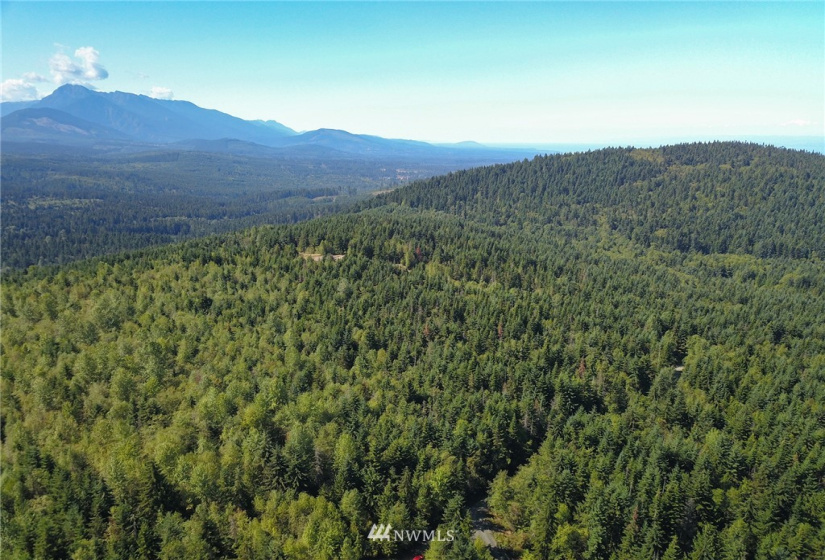 999 Olympic Ridge, Sequim, Washington 98382, ,Land,For Sale,Olympic Ridge,NWM1834933