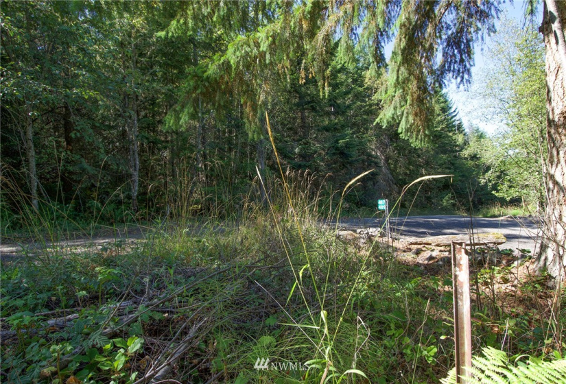 999 Olympic Ridge, Sequim, Washington 98382, ,Land,For Sale,Olympic Ridge,NWM1834933