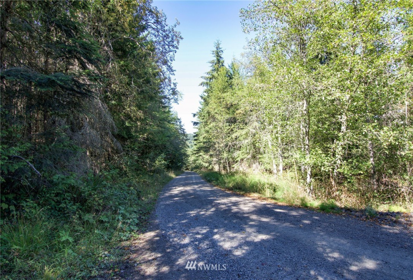 999 Olympic Ridge, Sequim, Washington 98382, ,Land,For Sale,Olympic Ridge,NWM1834933