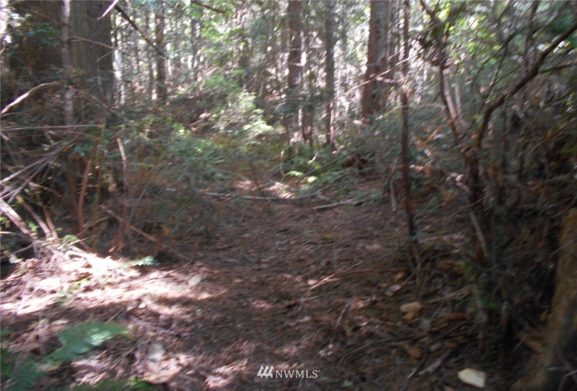 0 Cirque, Brinnon, Washington 98320, ,Land,For Sale,Seamount Estates, Division 4,Cirque,NWM1834582